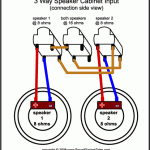 3 Way Speaker Cabinet Input Diagram